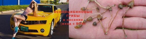 а пвп мука Богородицк